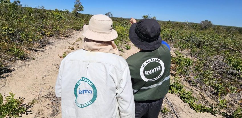  Com operações intensivas de fiscalização, Bahia reduz desmatamento no cerrado em 52,4%