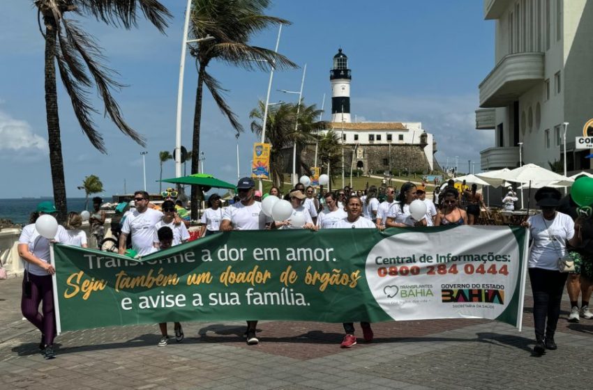  Doação de órgãos na Bahia tem negativa familiar de aproximadamente 60%