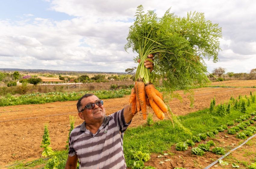  Agricultura Familiar garante alimentos nutritivos para estudantes da rede estadual em Nova Soure