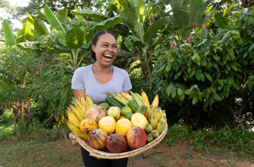  Agroecologia fortalece agricultura familiar na Bahia com foco em biodiversidade, certificação e sustentabilidade
