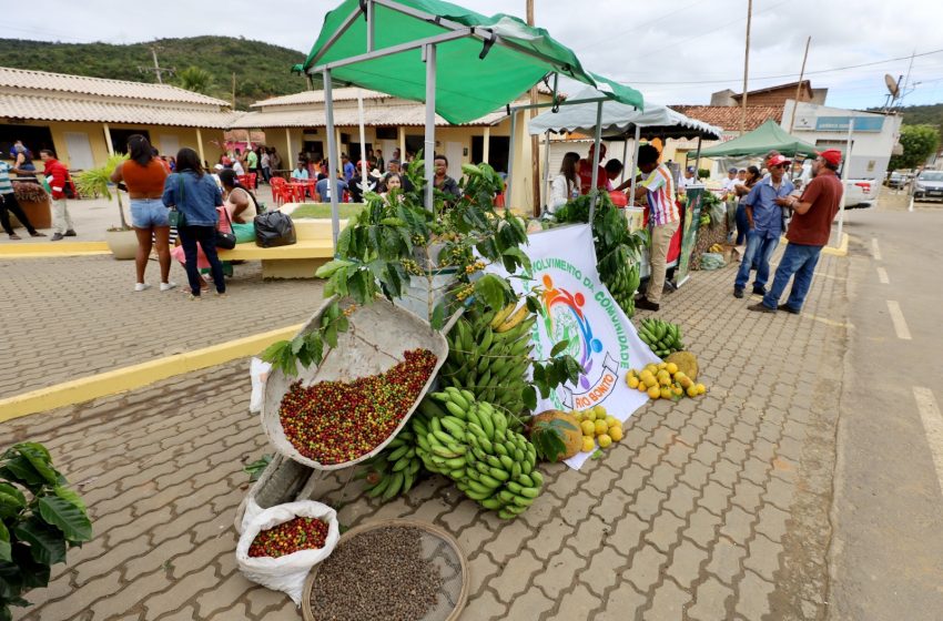  Entrega de unidade produtiva e de equipamentos para a agricultura familiar de Ribeirão do Largo são destaques em visita do governador ao sudoeste baiano