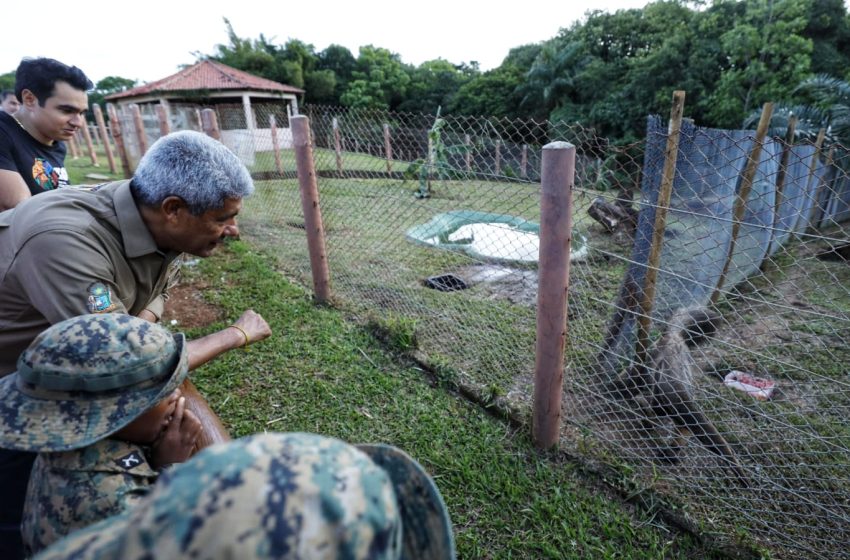  Governador Jerônimo entrega Parque Zoobotânico da Bahia requalificado; espaço reabre para visitação pública na terça-feira (3)