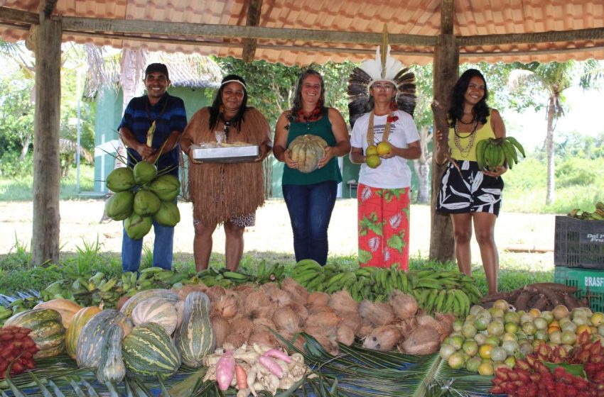  Chocolat Festival terá programação especial para a agricultura familiar