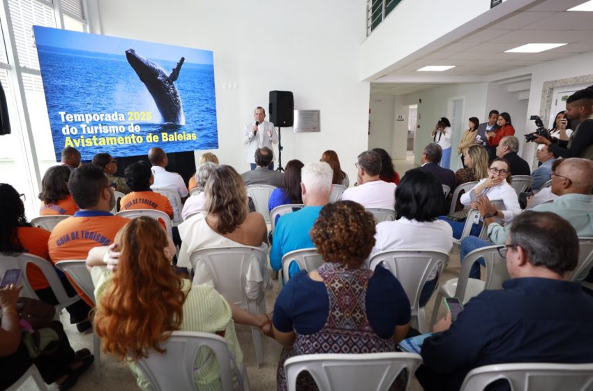  Bahia celebra o início do avistamento de baleias-jubarte com enfoque no turismo sustentável