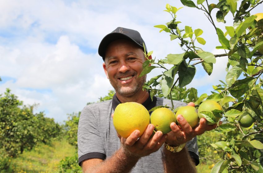  Com serviços de assistência técnica, Estado transforma realidade da agricultura familiar em Sapeaçu
