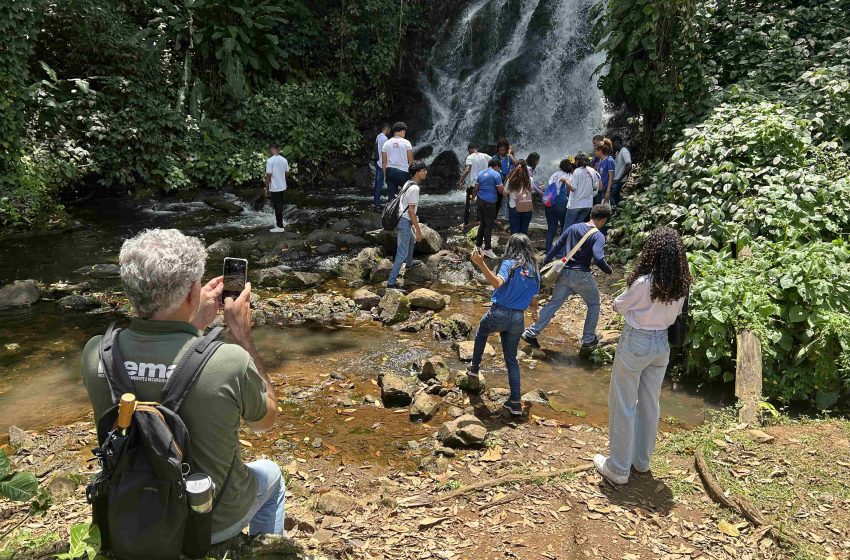  Primavera na Bahia: Parques Estaduais são opção de lazer e educação ambiental