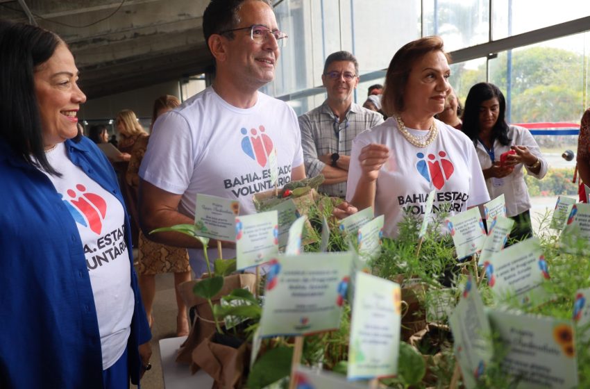  Programa de voluntariado completa seis anos com a adesão de 29 mil baianos