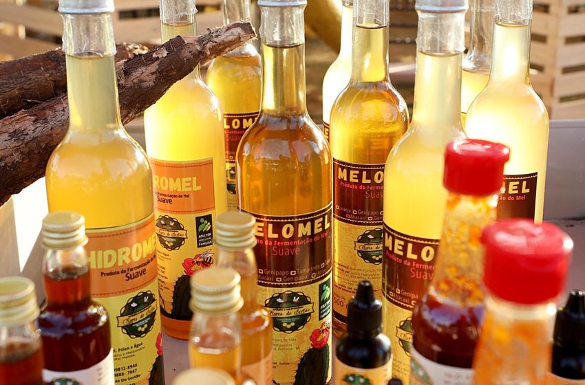  Qualidade do hidromel produzido no Brasil é foco de pesquisa baiana publicada nos Anais da Academia Brasileira de Ciências