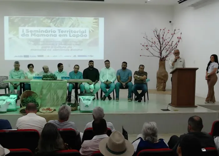  Seagri orienta produtores do semiárido sobre zoneamento de risco climático para cultura da mamona