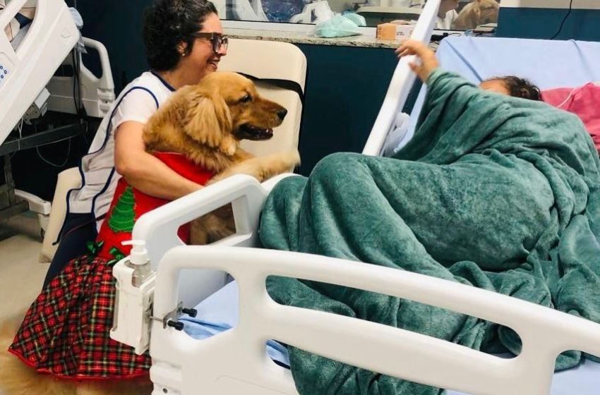  Pacientes do Hospital Mont Serrat recebem visita especial de cão terapeuta