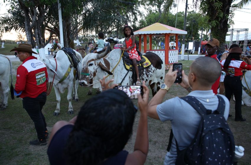  Fenagro 2025 é aberta em Salvador com expectativa de 200 mil visitantes, até domingo (7)