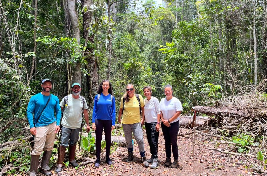  Inema amplia ações de conservação da flora e reforça integração entre ciência e gestão ambiental na Bahia
