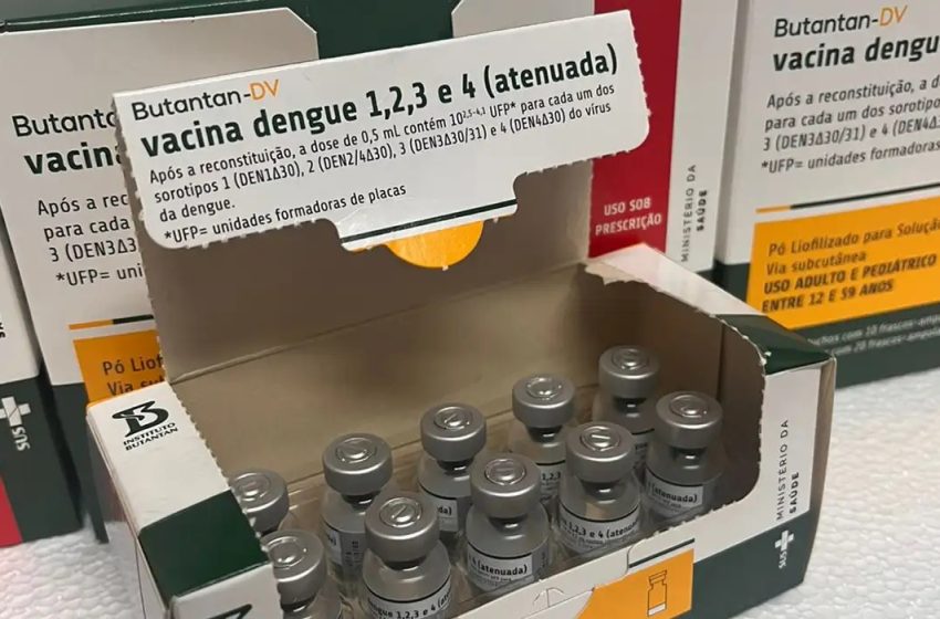 Bahia inicia distribuição de vacina 100% brasileira contra a dengue para os 417 municípios