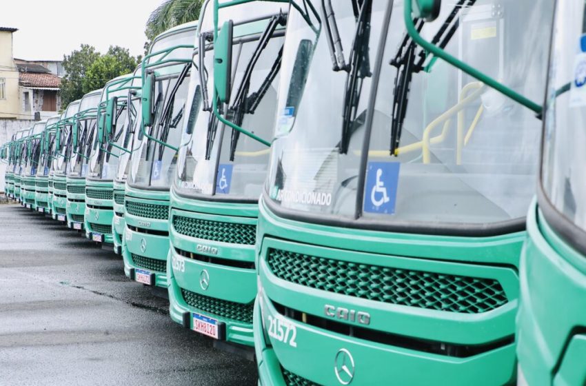  Linhas de ônibus são redistribuídas entre concessionárias a partir deste domingo (1º)