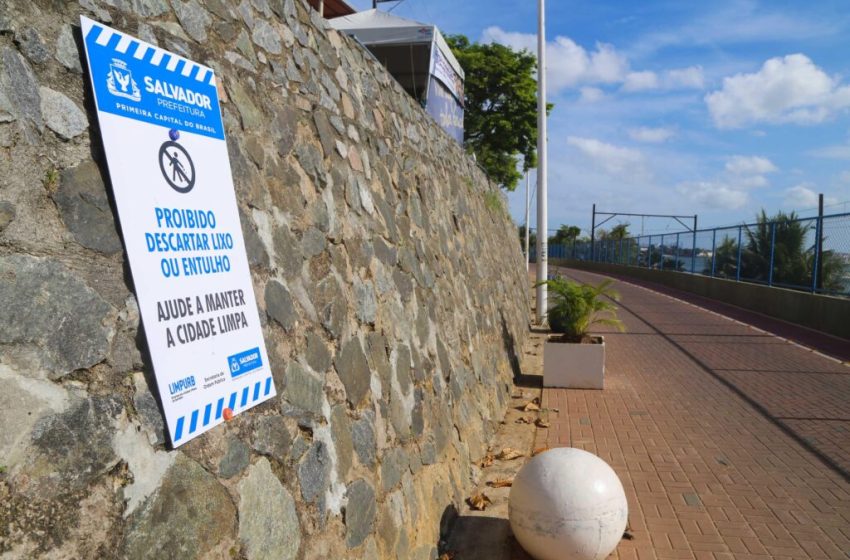 Pontos Verdes reforçam importância do descarte regular de lixo em Salvador e valorizam estética da cidade