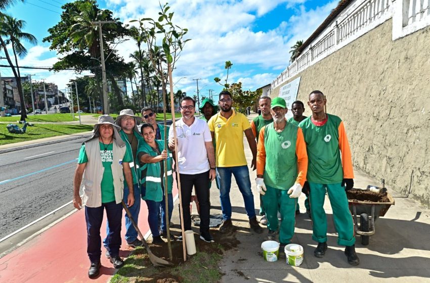 Ambientaliza Salvador: Prefeitura promove plantio de 50 mudas de árvores na orla de Amaralina