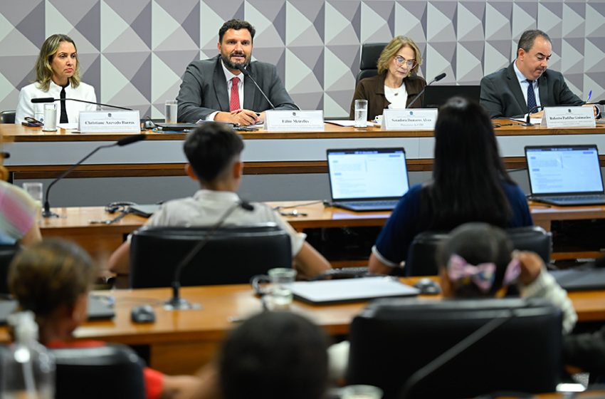 Audiência na CDH aponta novos desafios para erradicar trabalho infantil