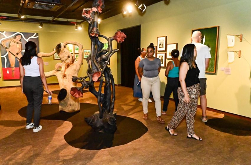  Últimas semanas para visitar a exposição “Floresta de Infinitos” na Casa das Histórias de Salvador