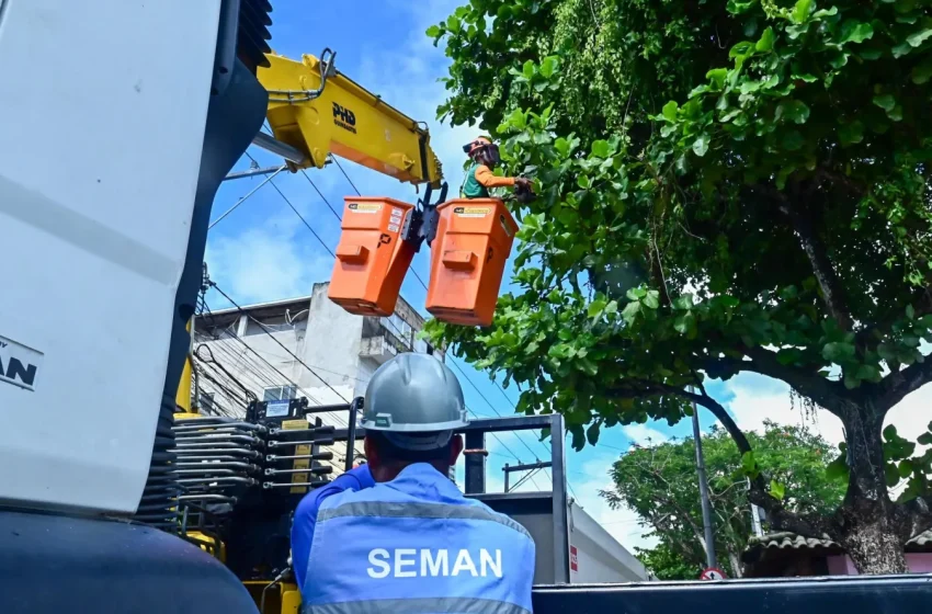  Poda preventiva contribui para reduzir acidentes e conservar arborização urbana; saiba como solicitar serviço