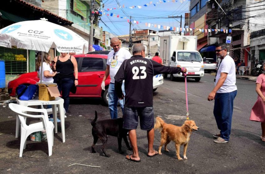  Dia D da Campanha Antirrábica leva vacinação gratuita para bairros e shoppings de Salvador neste fim de semana