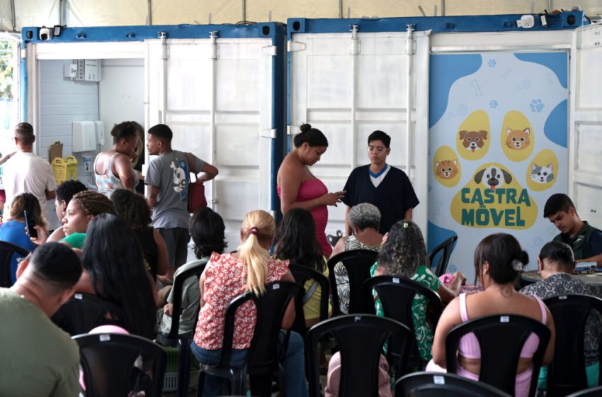 Prefeitura de Salvador amplia alcance do Castramóvel com três unidades móveis de atendimento
