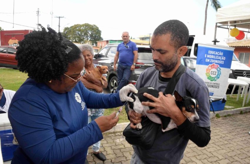  Vacinação antirrábica: Salvador terá postos volantes e itinerantes neste penúltimo fim de semana da campanha