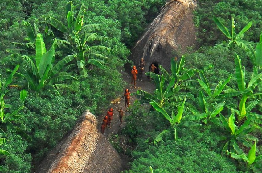 MP destina R$ 64,3 mi para agricultura familiar e apoio a povos indígenas