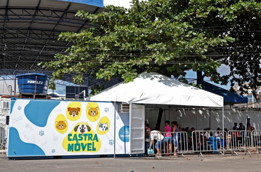 Castramóvel oferece castração gratuita de cães e gatos na Avenida Paralela a partir da próxima terça-feira (8)