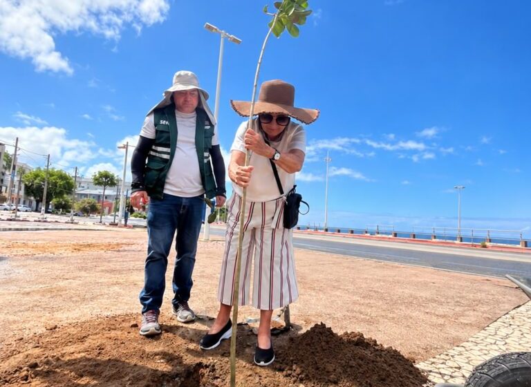  Prefeitura planta 22 árvores na orla de Ondina a pedido de moradores