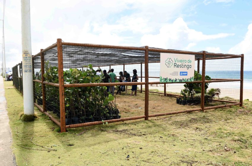  Segundo viveiro de restinga de Salvador é entregue no Jardim de Alah e recebe 515 mudas da Praia do Flamengo