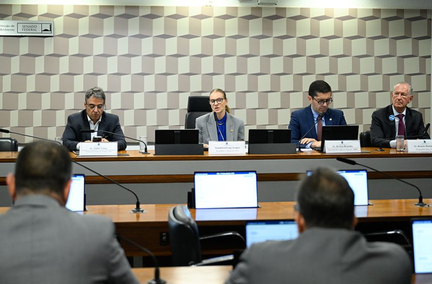  CMA: ‘Tarifaço’ afeta soberania, enquanto terras-raras oferecem riscos e oportunidades